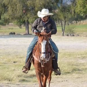 Meet your Posher, Everardo